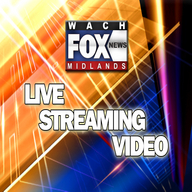 fox news live stream