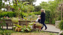 Ageless Gardens: Elevated Garden Boxes